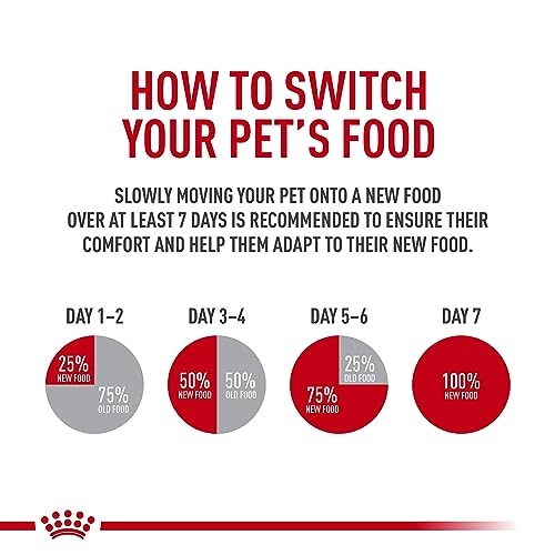 Croquettes pour chien Santé Nutrition Bouledogue Français Adulte