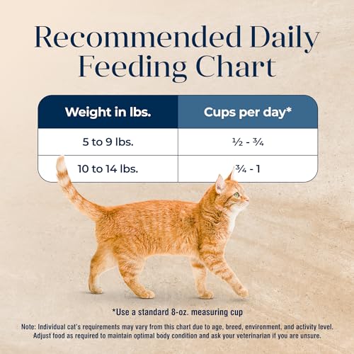 Basics Grain-Free Dry Cat Food