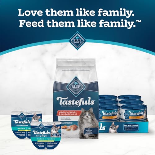 Dry Cat Food for Weight Management & Hairball Control