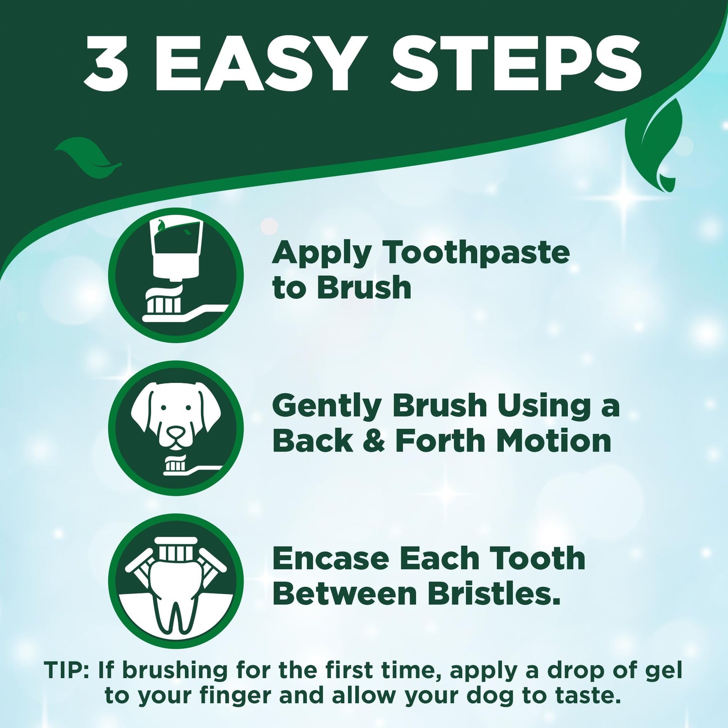 Best Dog Toothbrush & Enzymatic Toothpaste Kit