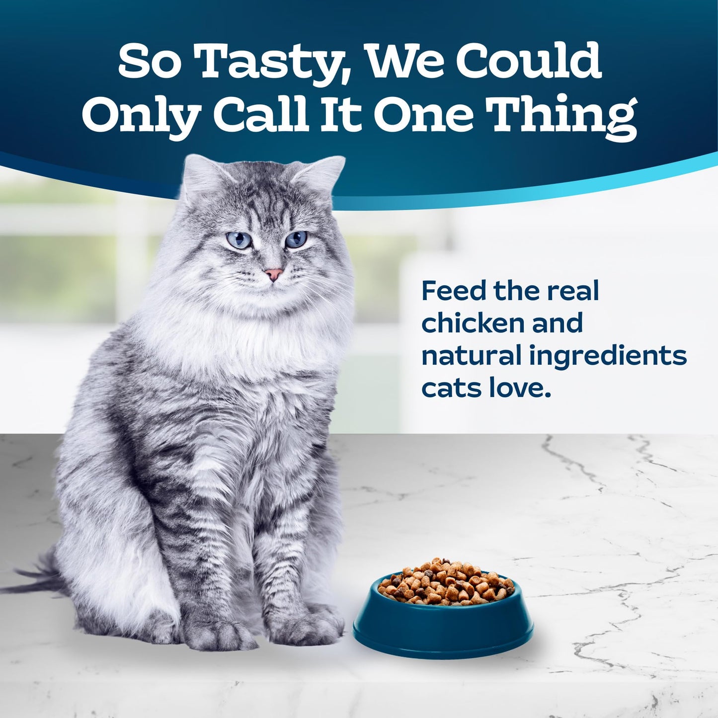 Dry Cat Food for Weight Management & Hairball Control