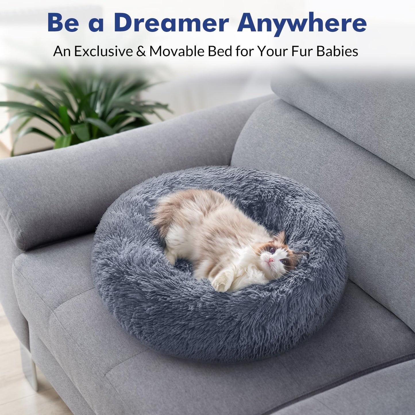 Cat Beds for Indoor Cats