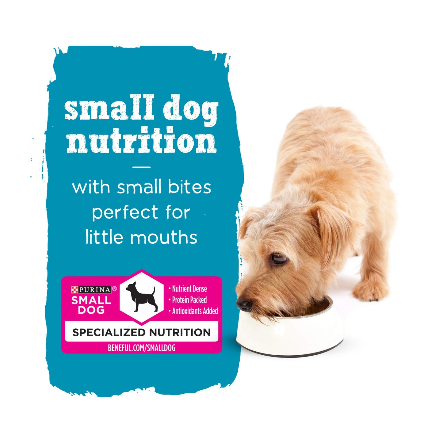 Small Breed Wet Dog Food Variety Pack