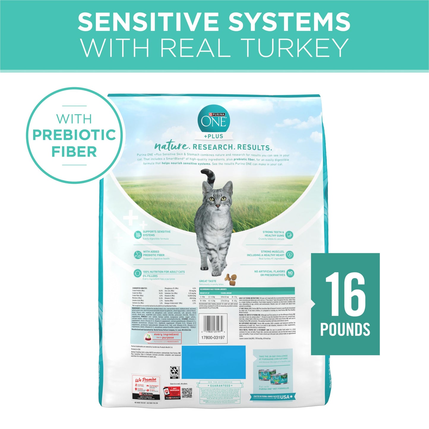 Dry Cat Food Sensitive Stomach